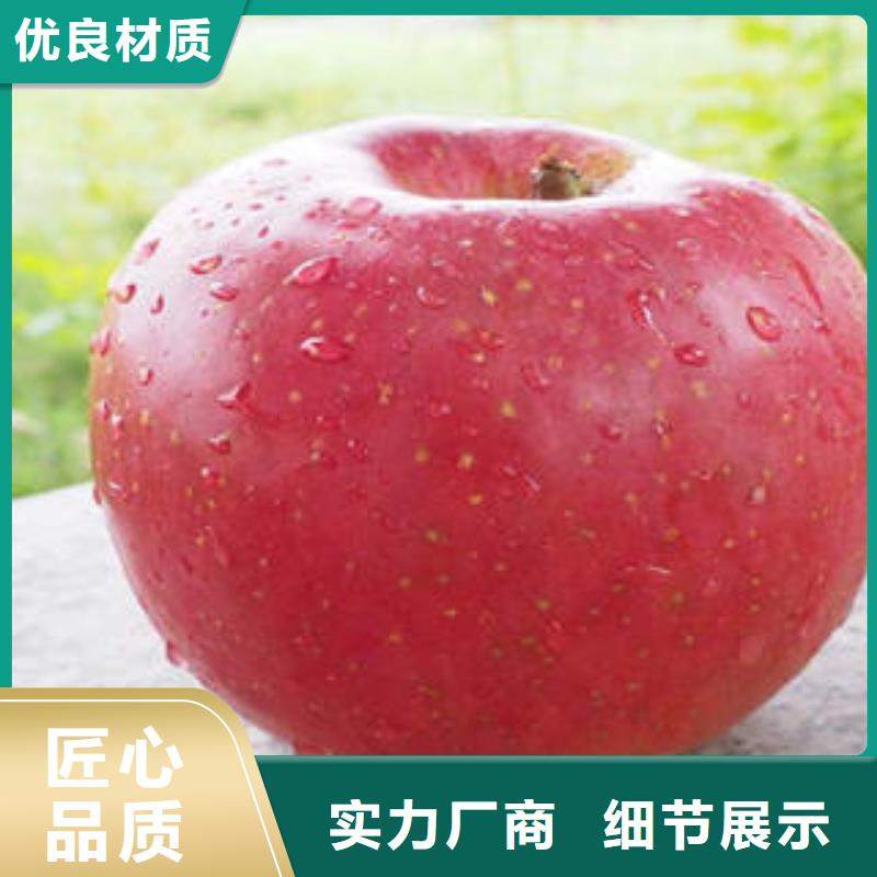 红富士苹果嘎啦苹果工艺精细质保长久