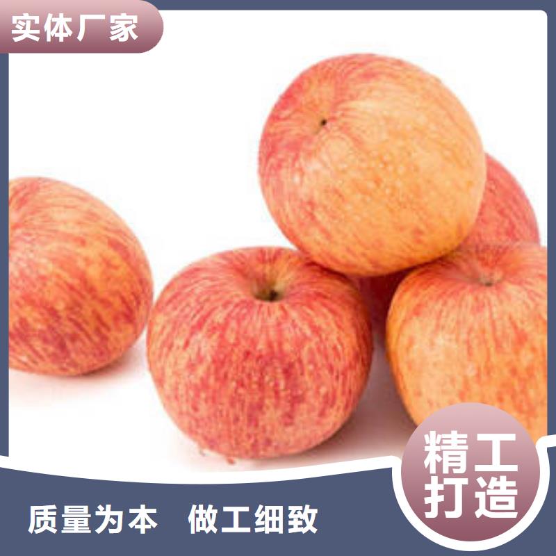 红富士苹果-苹果种植基地一手货源源头厂家
