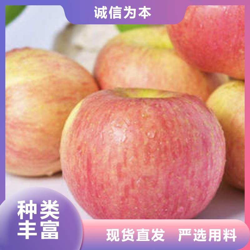 红富士苹果支持拿样