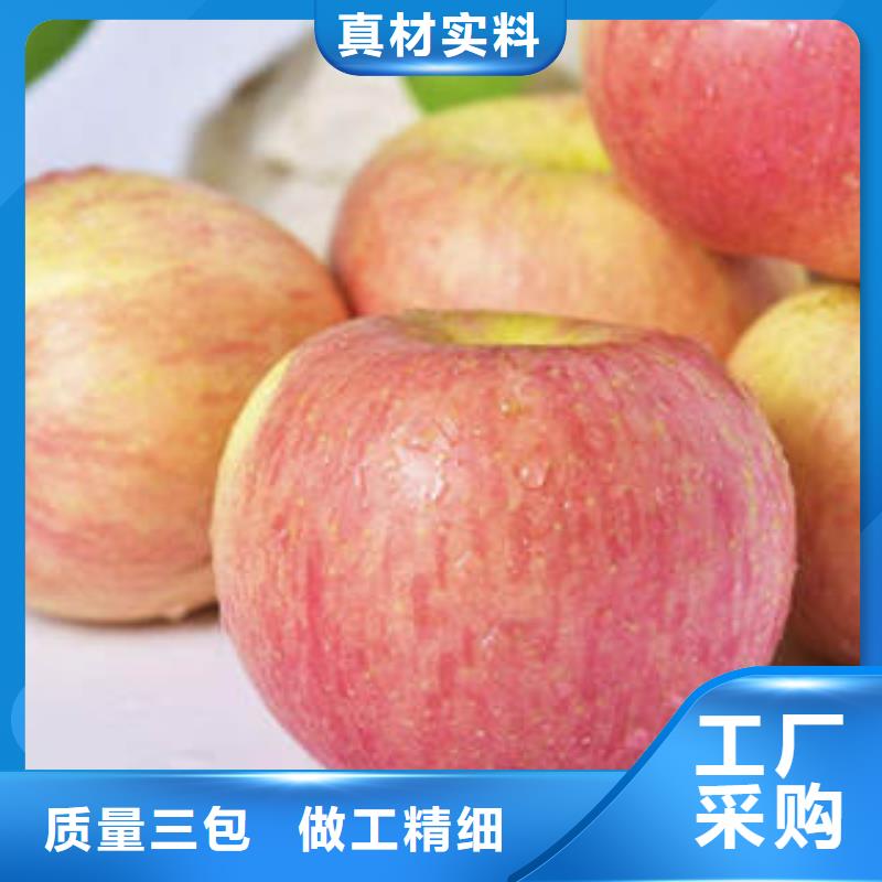 红富士苹果嘎啦苹果应用广泛