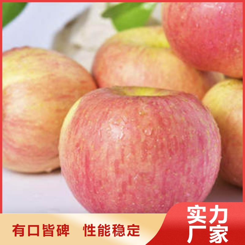 红富士苹果苹果种植基地品质之选