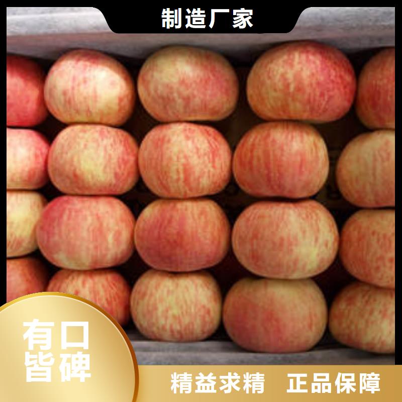 红富士苹果嘎啦苹果应用广泛