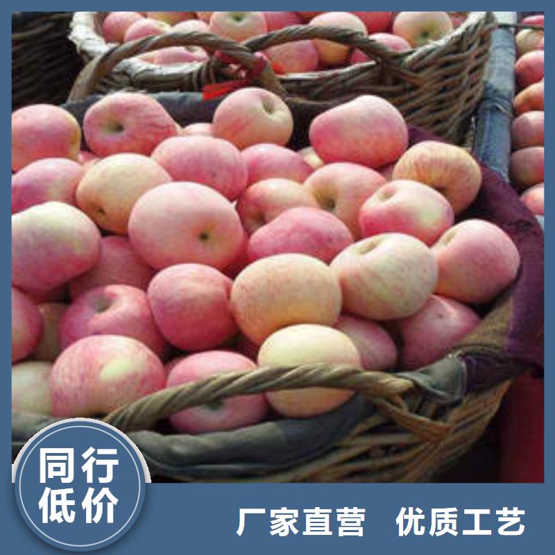 【红富士苹果】 嘎啦苹果保障产品质量