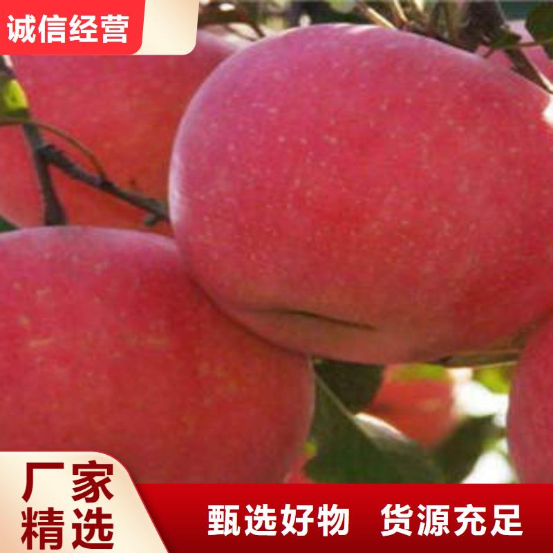 红富士苹果支持拿样