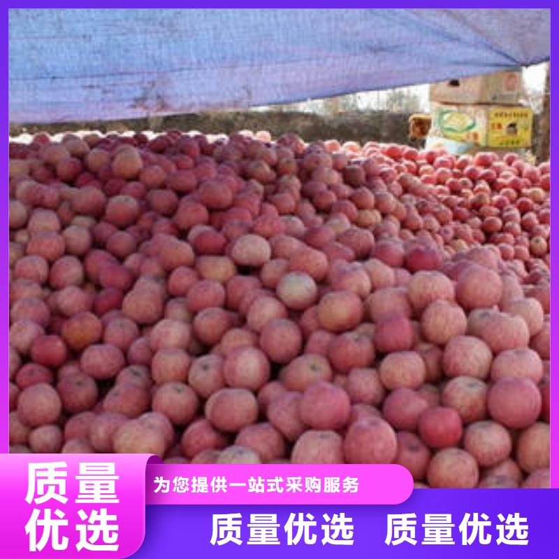 红富士苹果支持拿样