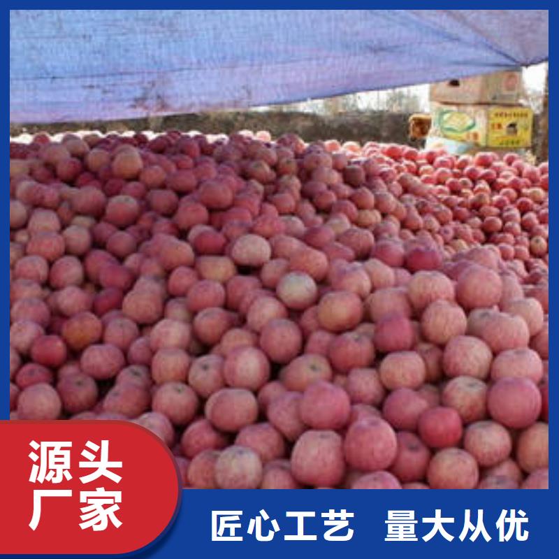 红富士苹果嘎啦苹果应用广泛