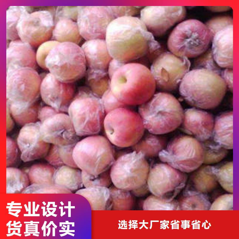 红富士苹果嘎啦苹果应用广泛