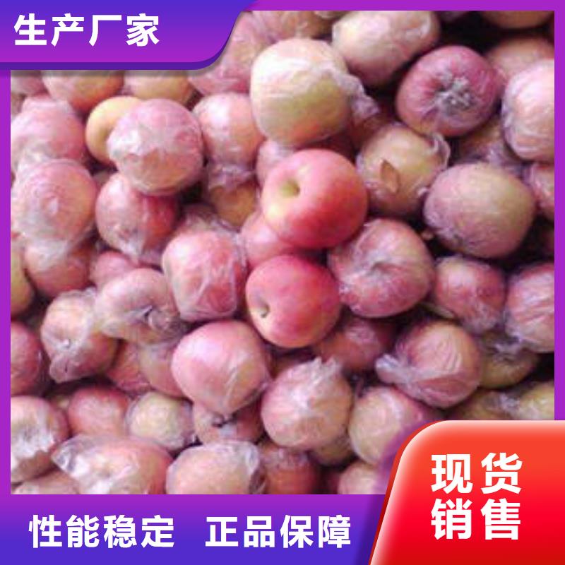 红富士苹果买的放心安兴用的舒心
