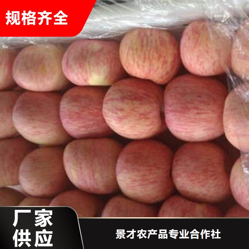 红富士苹果_【红富士苹果产地】厂家直销心钱覆盖范围含|海安|启东|南京|泰州|苏州|镇江|宿迁