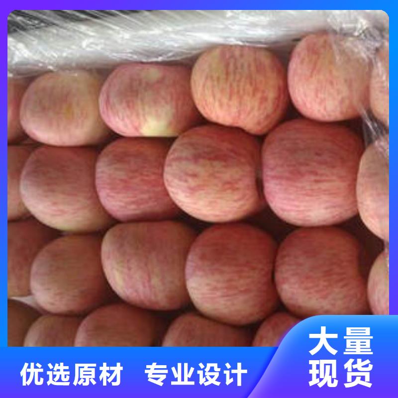 红富士苹果-苹果种植基地一手货源源头厂家