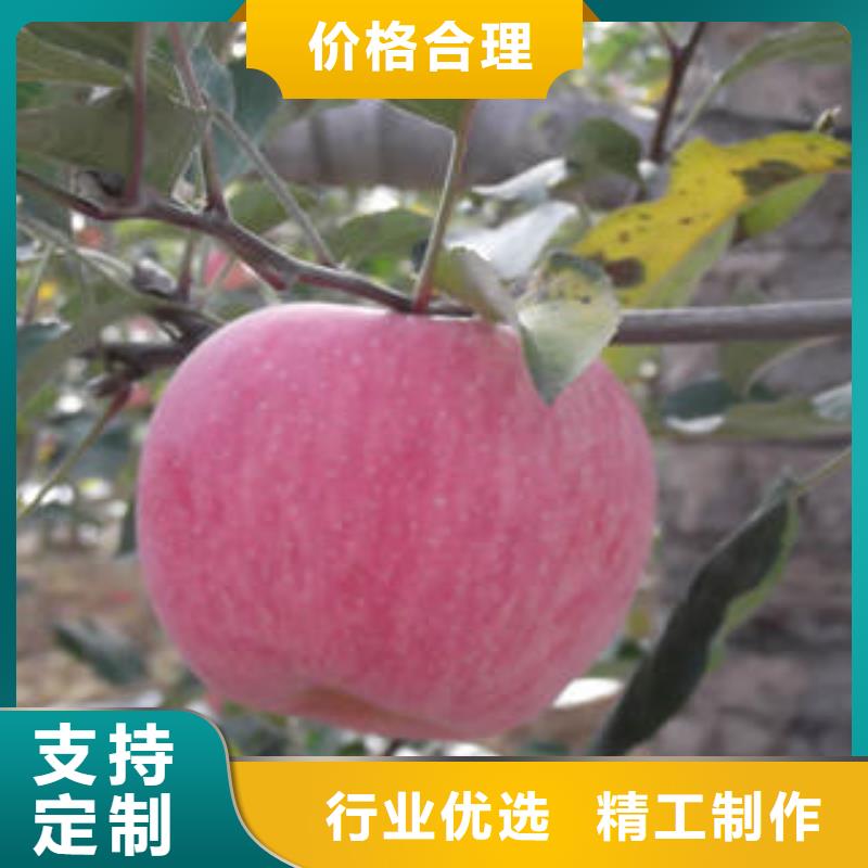 红富士苹果嘎啦果供您所需