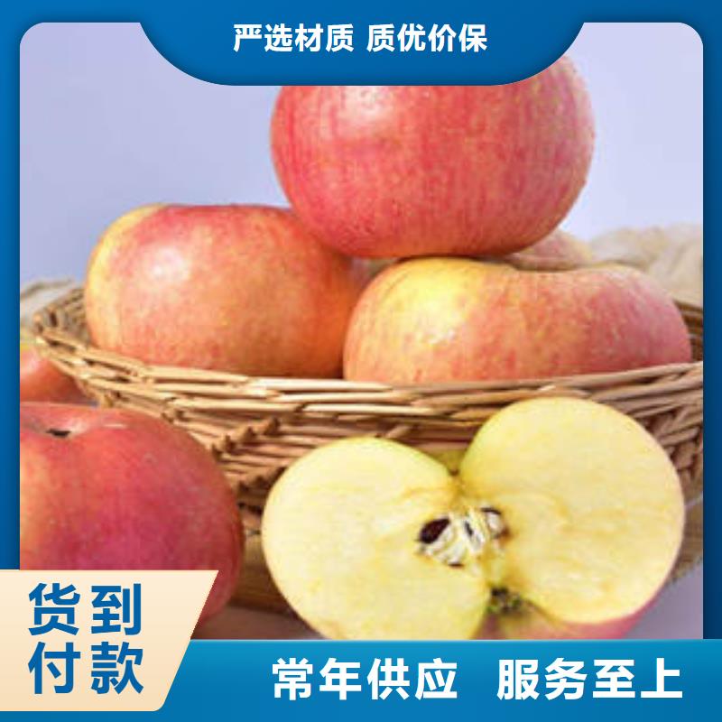 红富士苹果苹果安装简单
