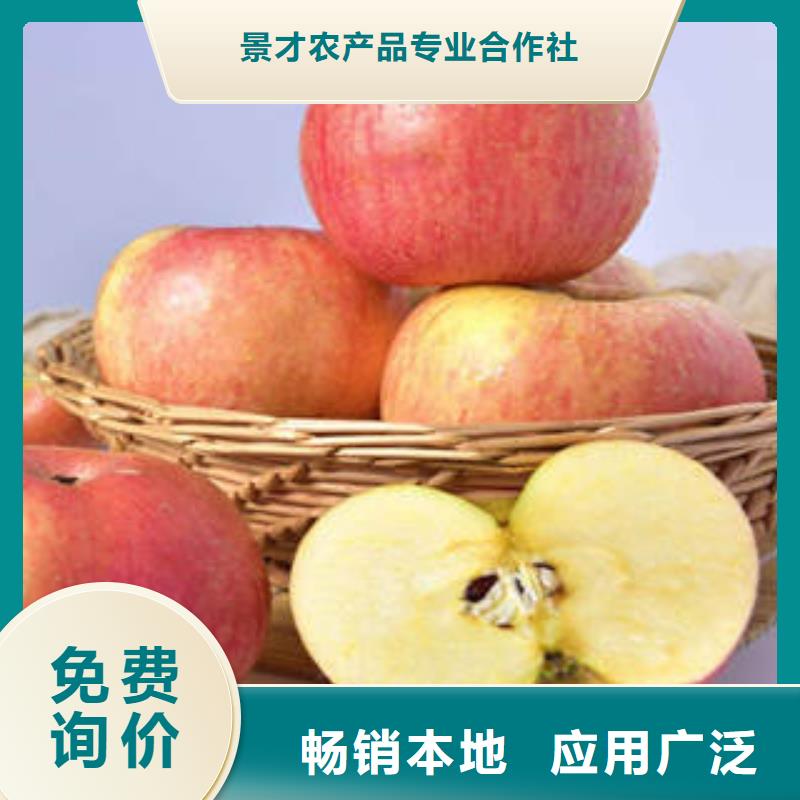 红富士苹果嘎啦苹果应用广泛