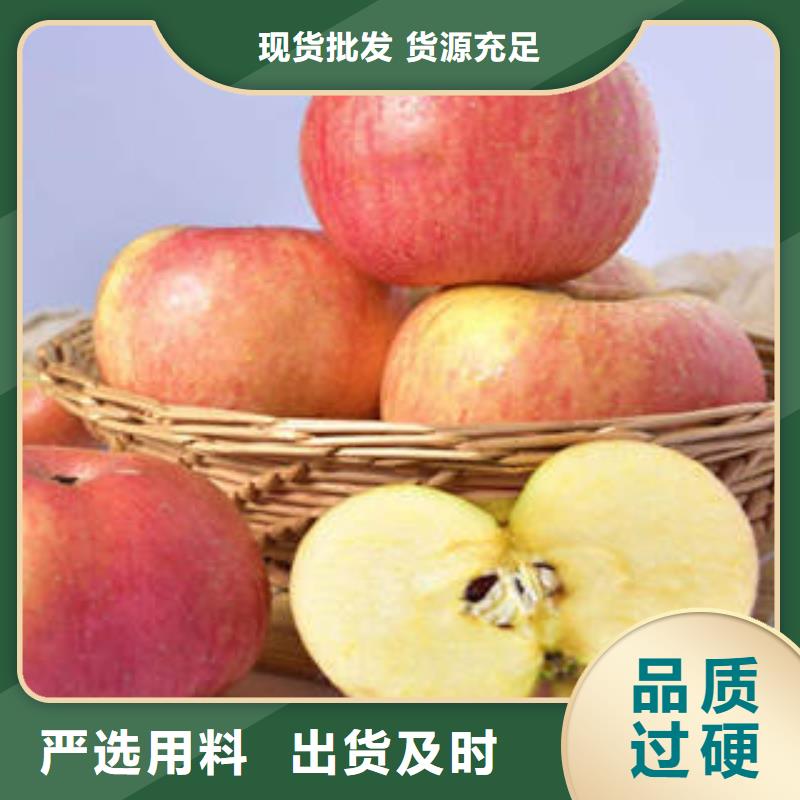 红富士苹果专注生产制造多年