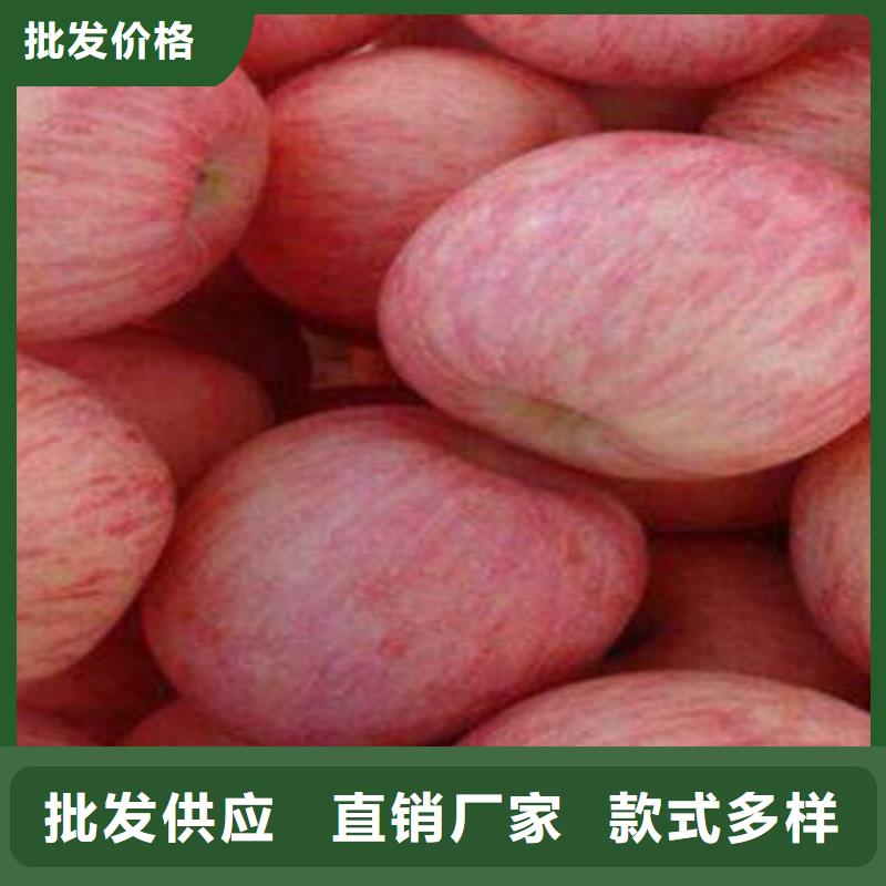 红富士苹果,苹果海量现货直销