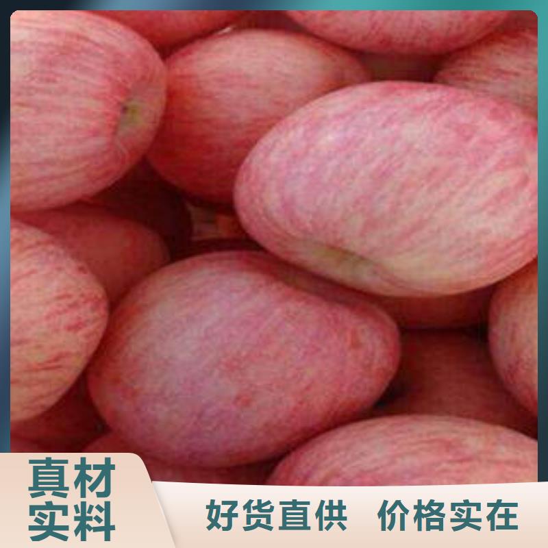 红富士苹果嘎啦苹果值得买