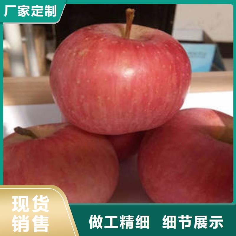 红富士苹果嘎啦苹果应用广泛