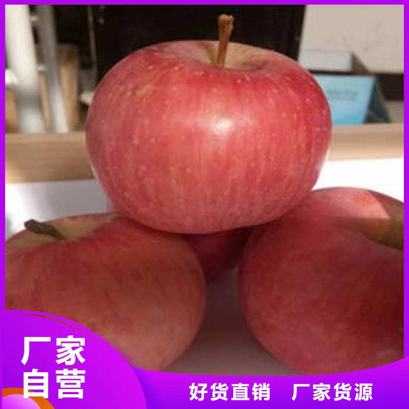 红富士苹果苹果用心做好细节