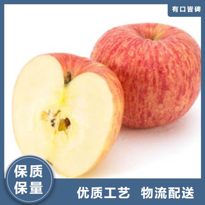 红富士苹果苹果种植基地质量三包