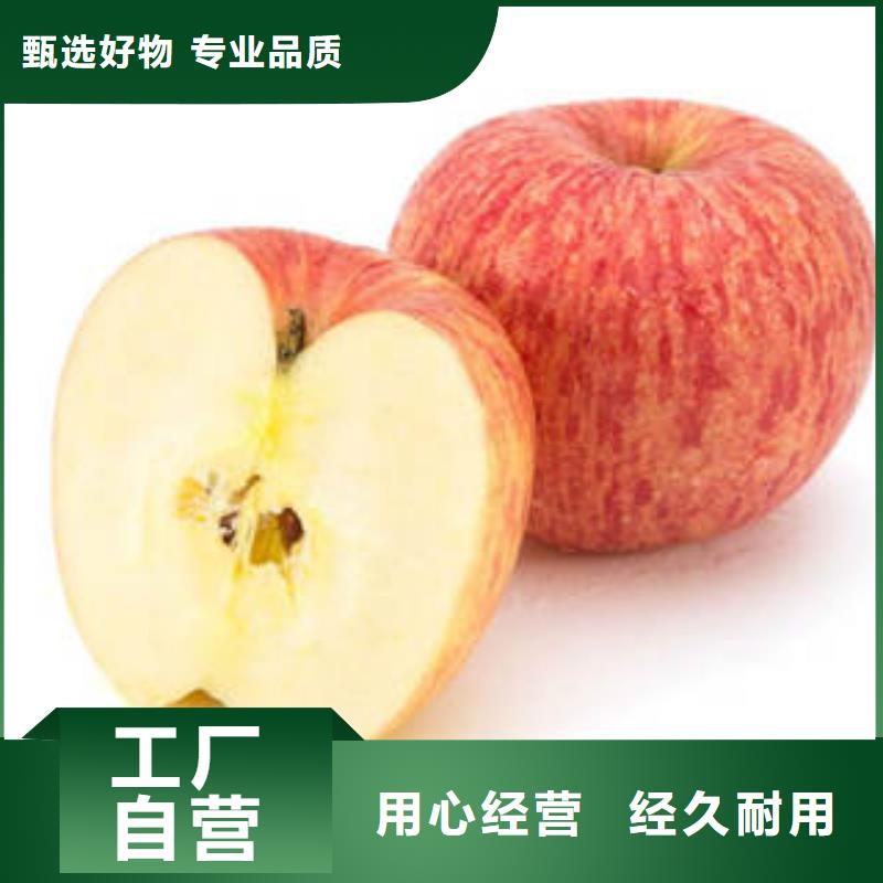 红富士苹果嘎啦果供您所需