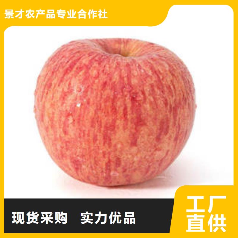 红富士苹果红富士苹果批发品质做服务