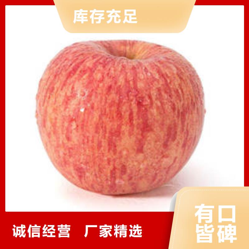 红富士苹果苹果种植基地品质之选