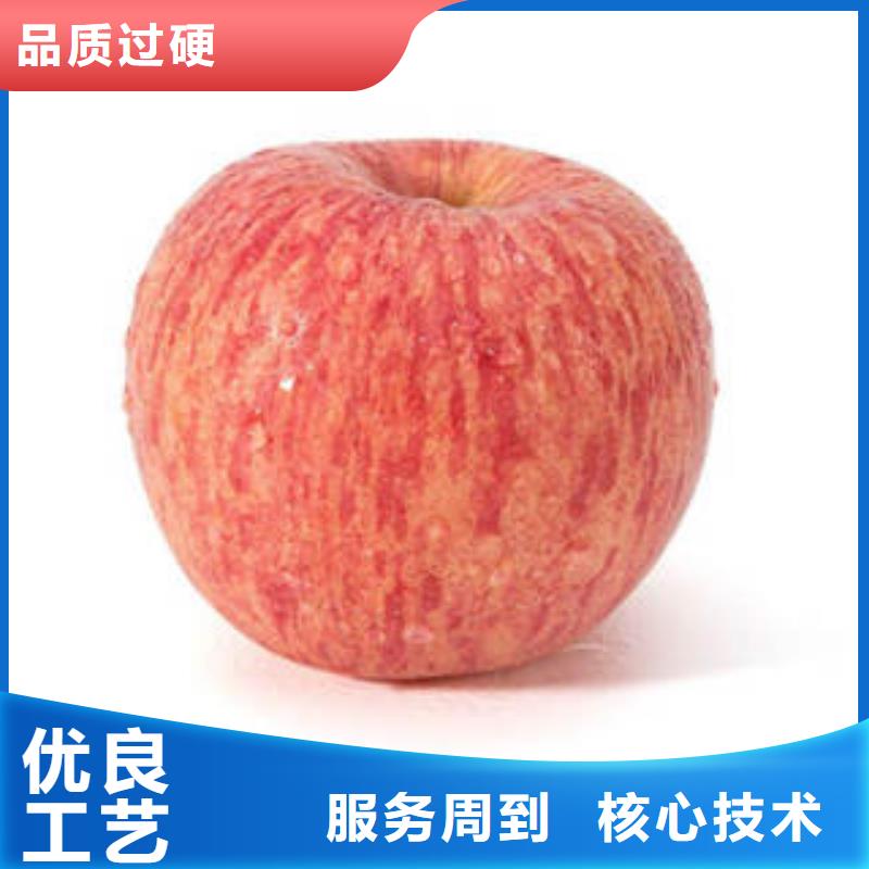 【红富士苹果】 嘎啦苹果保障产品质量