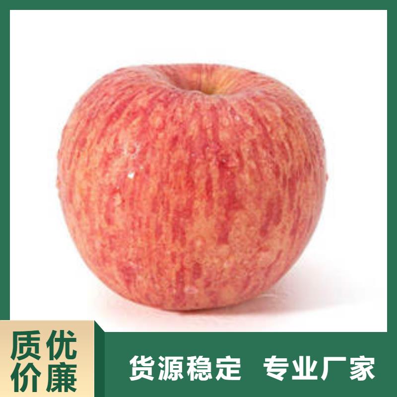 红富士苹果嘎啦果优选厂家
