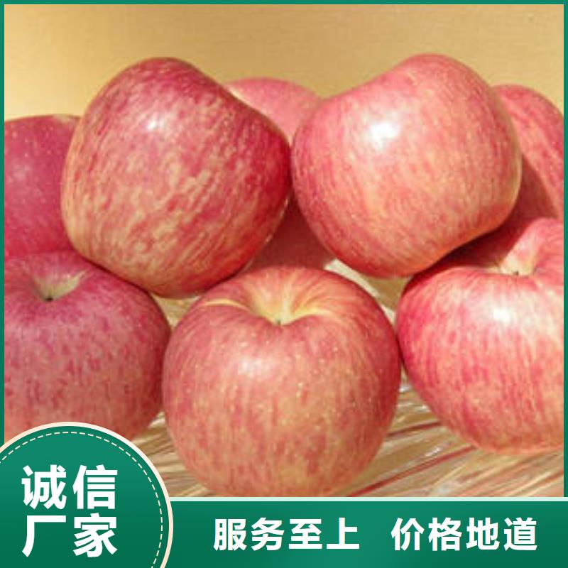 红富士苹果支持货到付清