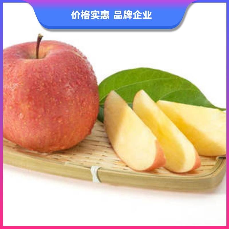 红富士苹果苹果种植基地品质之选