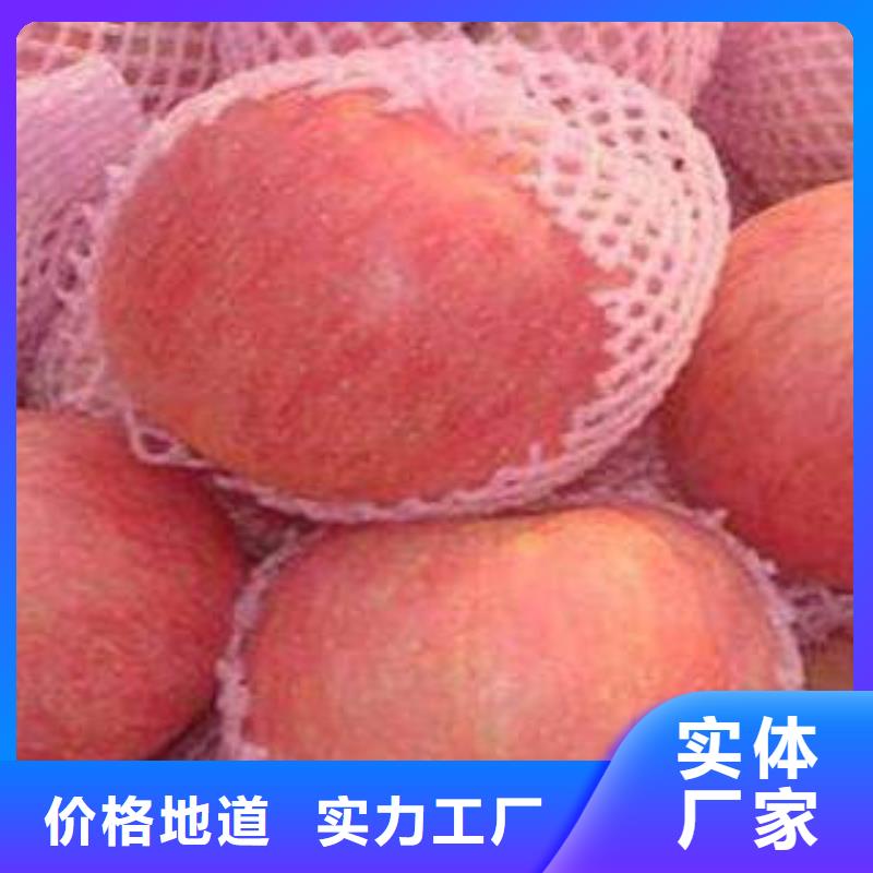 红富士苹果嘎啦苹果应用广泛