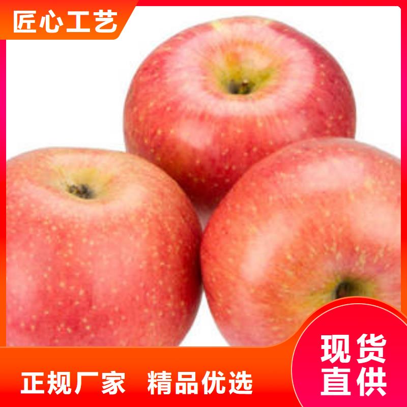 红富士苹果嘎啦苹果应用广泛