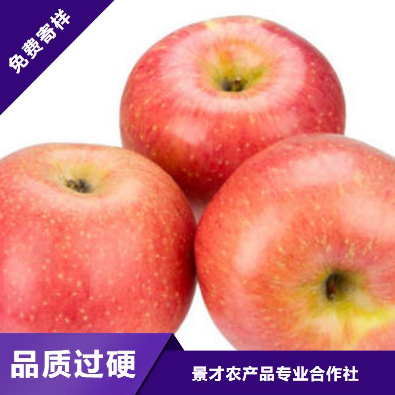 红富士苹果嘎啦果优选厂家