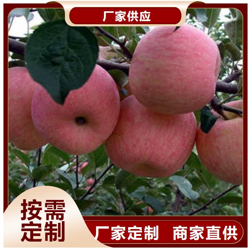 红富士苹果_【红富士苹果产地】厂家直销心钱覆盖范围含|海安|启东|南京|泰州|苏州|镇江|宿迁