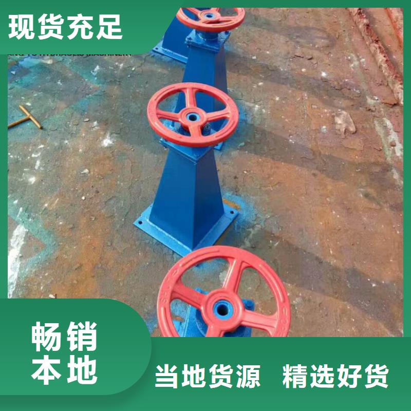 {康禹}-|连江|长乐|龙岩|厦门|泉州|漳州启闭机实体厂家支持定制-铸铁闸门康禹水工机械厂(福州市分公司)