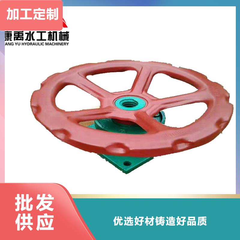 {康禹}-|连江|长乐|龙岩|厦门|泉州|漳州启闭机实体厂家支持定制-铸铁闸门康禹水工机械厂(福州市分公司)