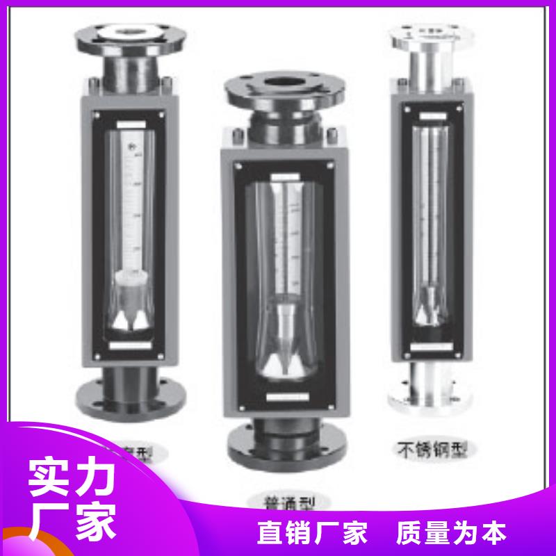 G10浮子流量计量大从优