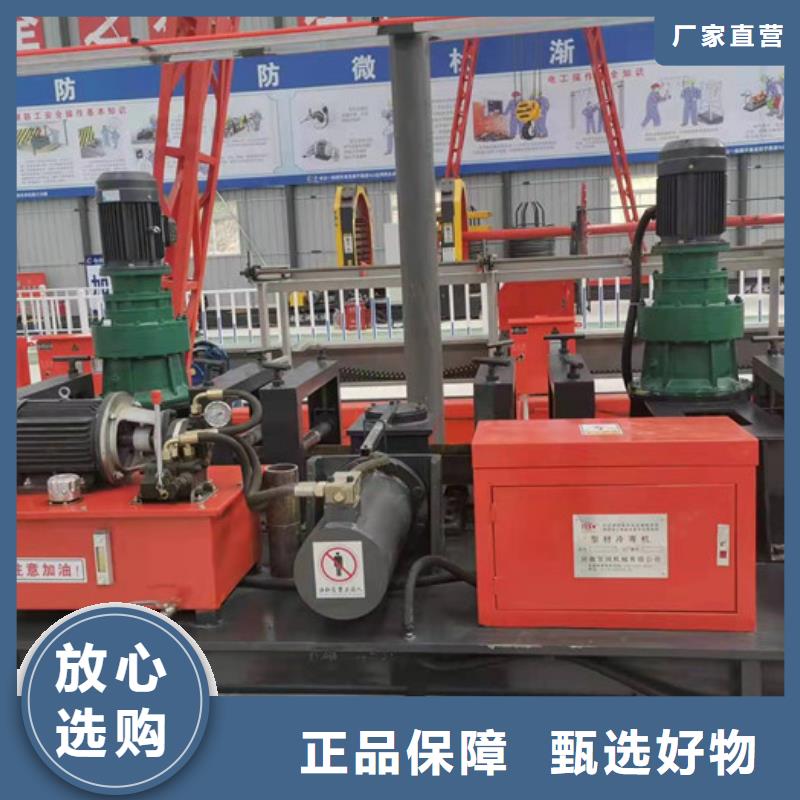 数控钢筋剪切生产线视频-数控钢筋剪切生产线-吉林省辽源市东丰|东辽|通化|吉林|延边|四平|长春(该地)制造商