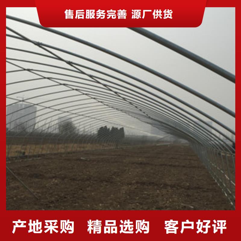 H型钢视频-广西省百色市|田东|西林|梧州|钦州|来宾|玉林|贵港|柳州H型钢-金鑫润通