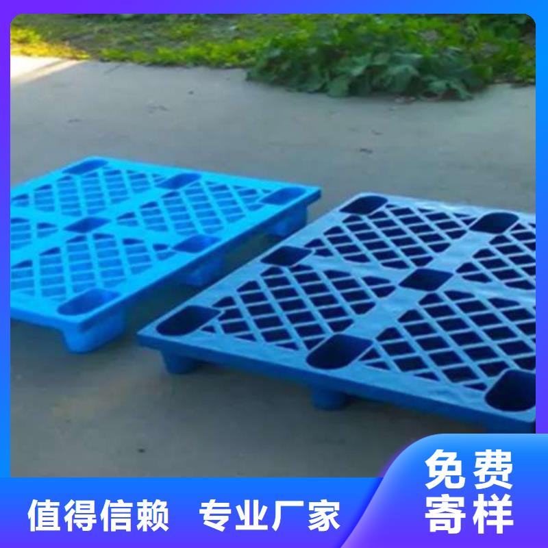 塑料托盘塑料托盘质保货到付款