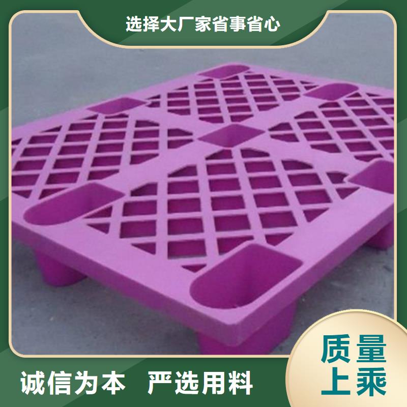 塑料托盘塑料托盘厂专业生产设备