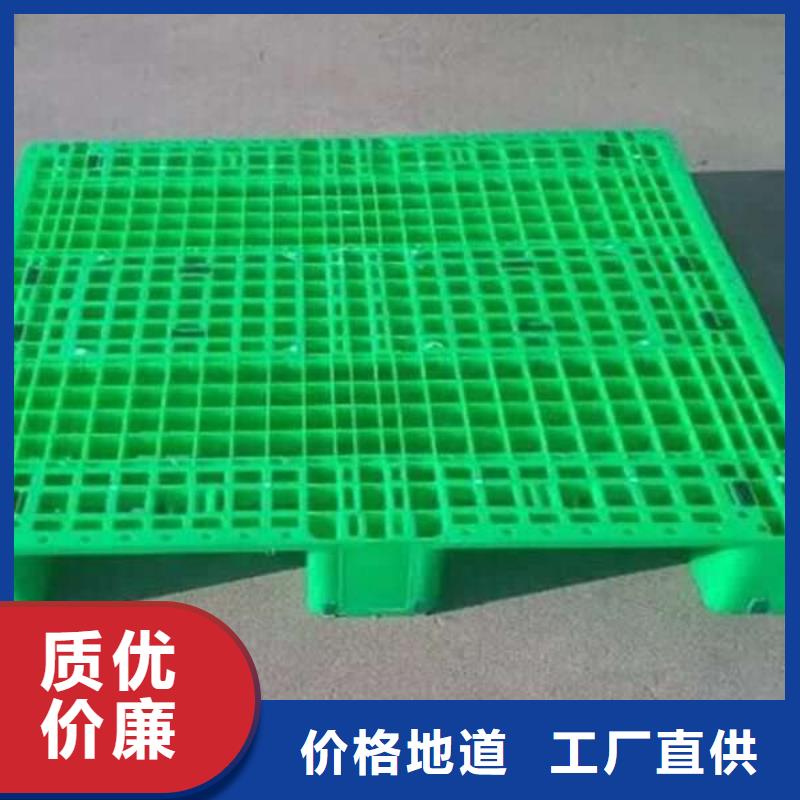 塑料托盘塑料托盘工厂大品牌值得信赖