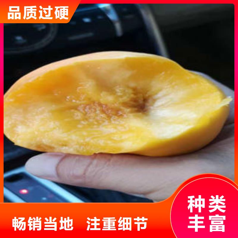 【桃树苗板栗苗制造生产销售】