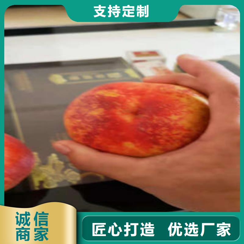 桃树苗,【板栗苗】实力厂商_兴海苗木种植社(济南市分公司)