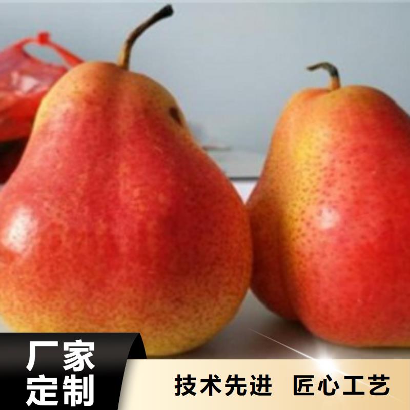 梨树苗_花椒苗库存量大