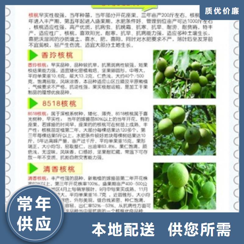 核桃苗按需设计