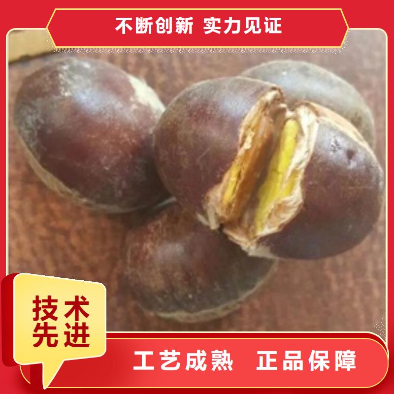 板栗苗蓝莓苗满足客户需求