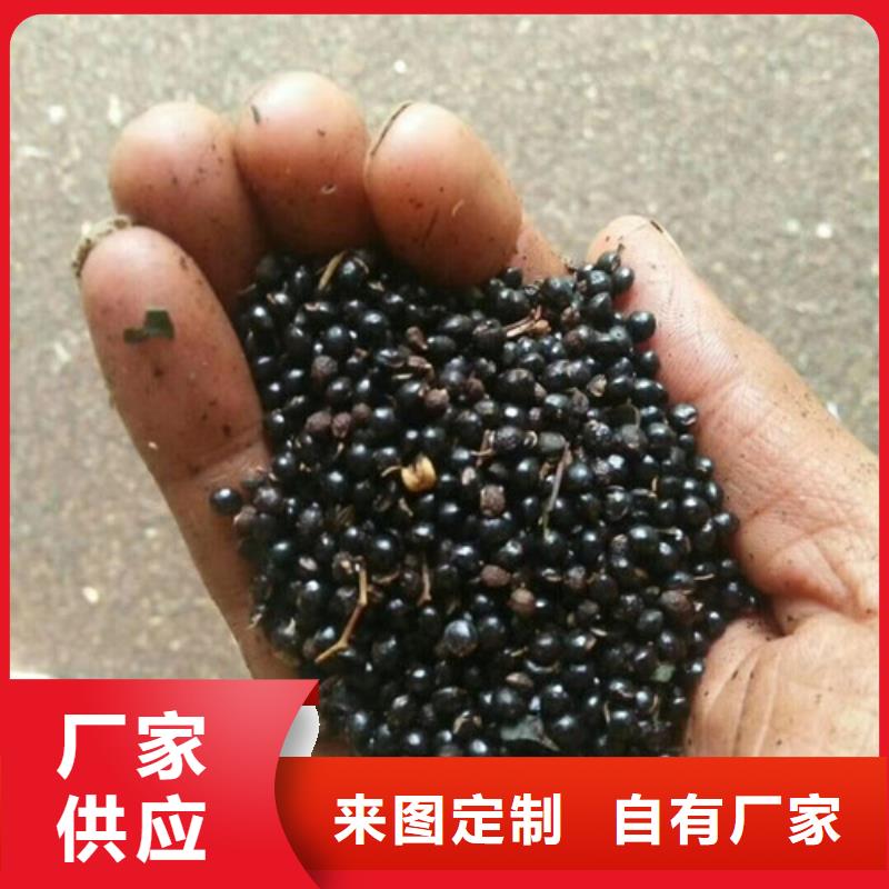 花椒苗梨树苗质量检测