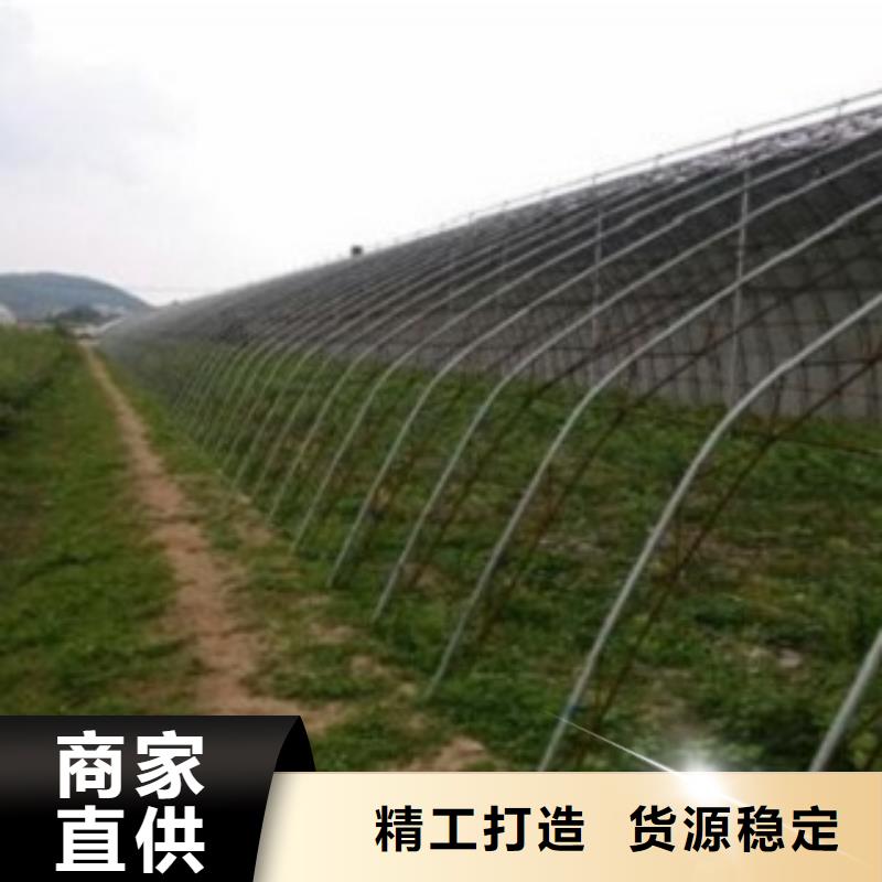 板栗苗视频-建始|咸丰|宜昌|十堰|鄂州|武汉|孝感|黄冈板栗苗优质工艺-兴海苗木种植社(恩施市分公司)