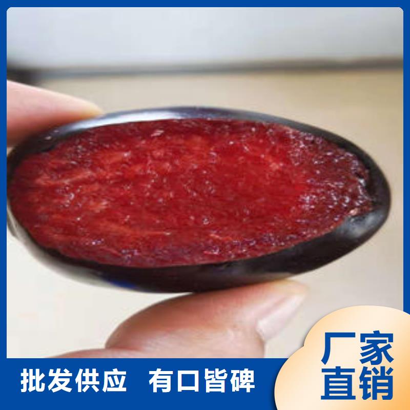 李子苗_核桃苗工厂价格
